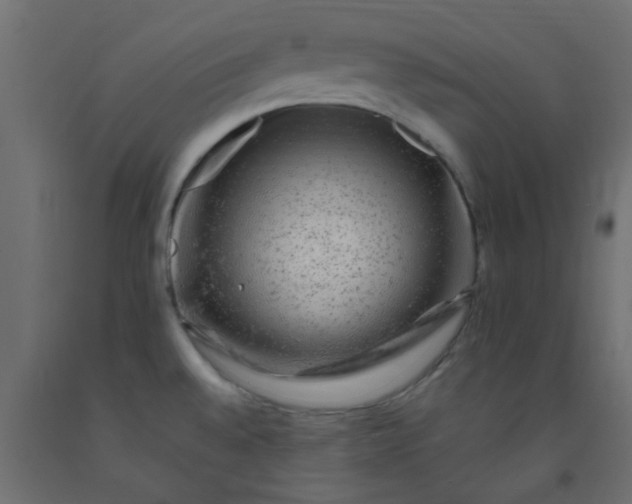 X0000093101528200710101527