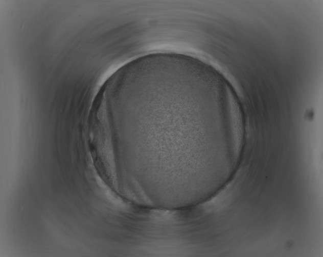 X0000093101529200710101527