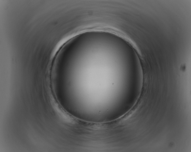 X0000093101530200710101527