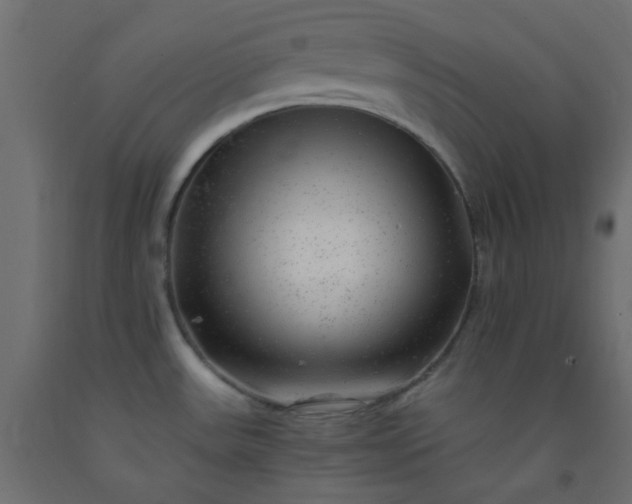 X0000093101531200710101527