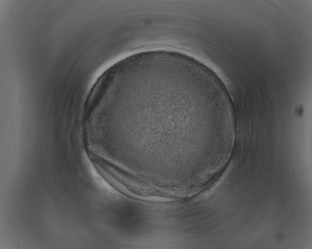 X0000093101534200710101527