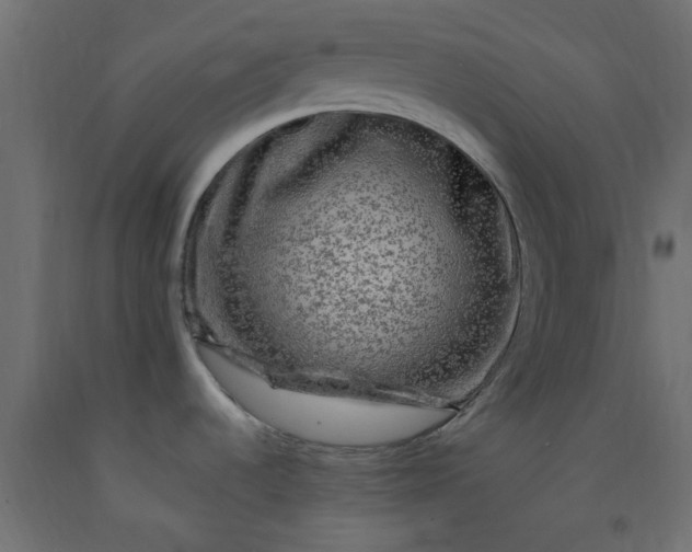 X0000093101536200710101527