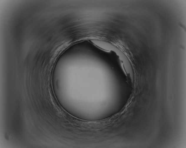 X0000093100001200710171211