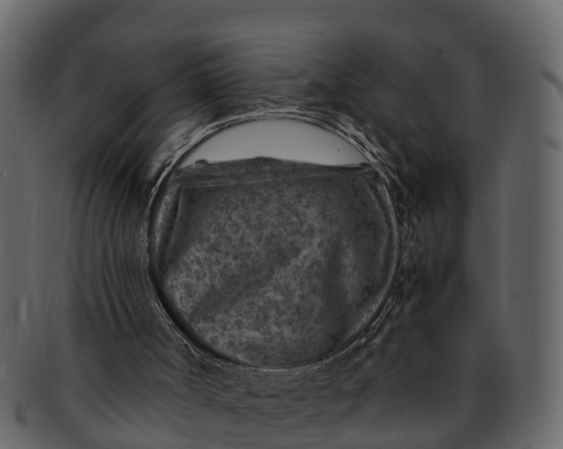X0000093100002200710171211