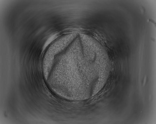 X0000093100004200710171211