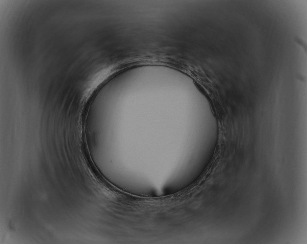 X0000093100005200710171211
