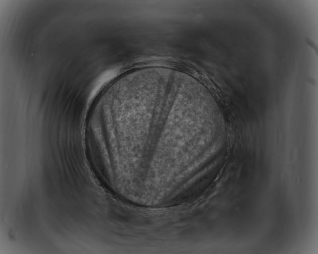 X0000093100006200710171211