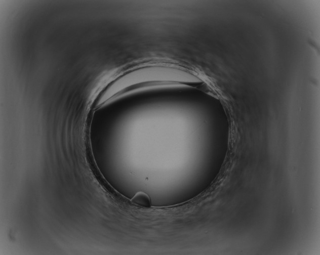 X0000093100007200710171211