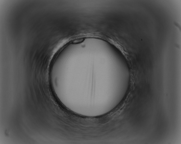 X0000093100008200710171211