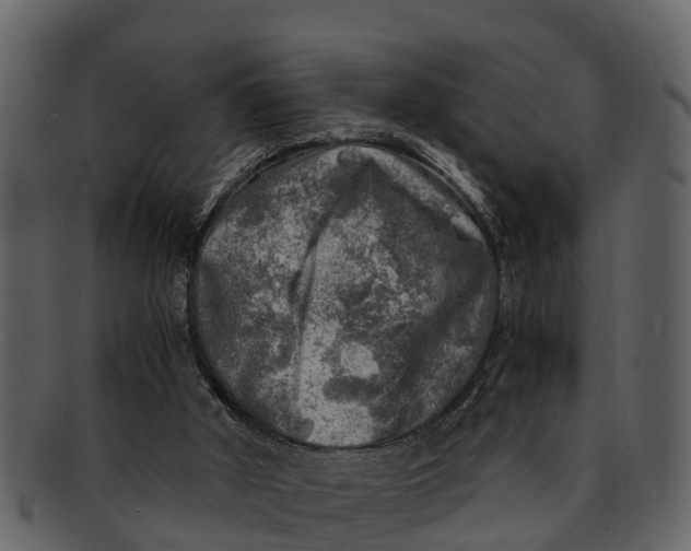 X0000093100010200710171211