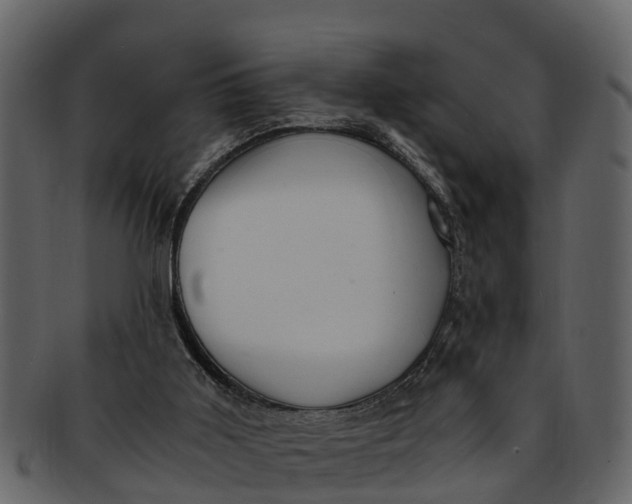 X0000093100011200710171211