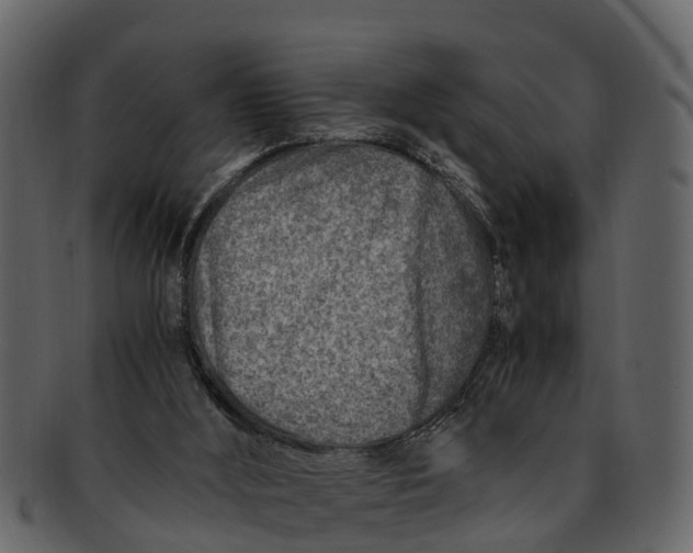 X0000093100012200710171211