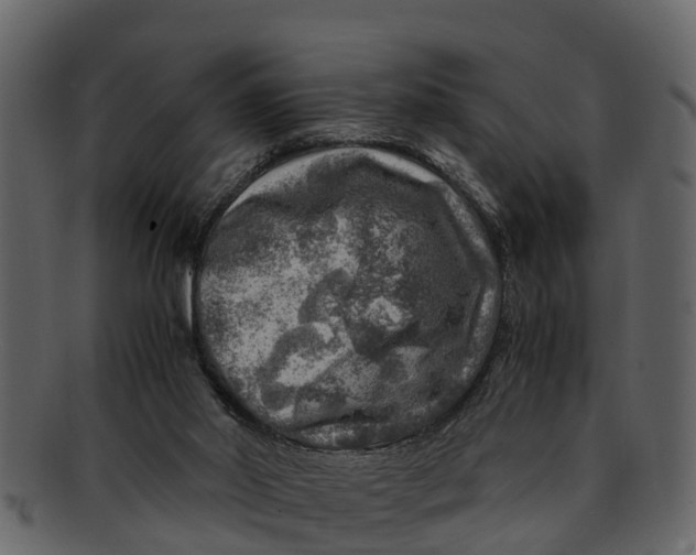 X0000093100014200710171211