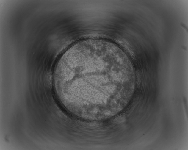 X0000093100016200710171211