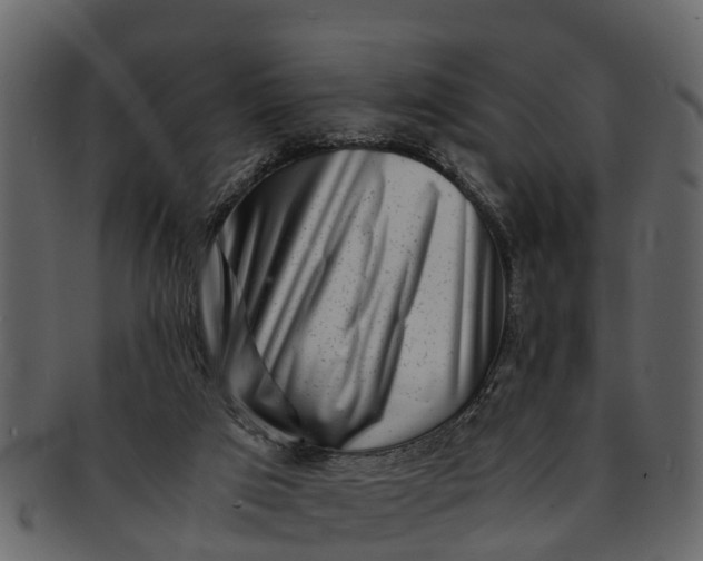 X0000093100017200710171211