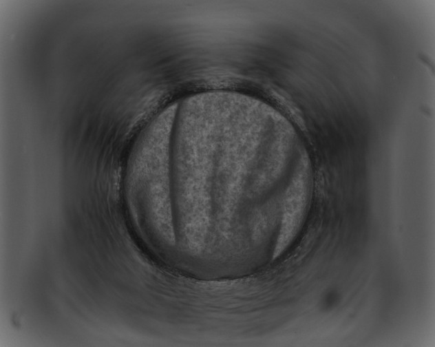X0000093100018200710171211