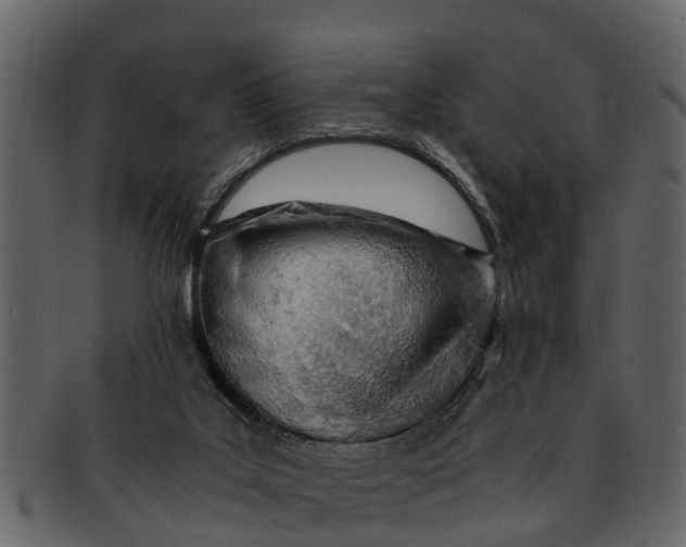X0000093100019200710171211