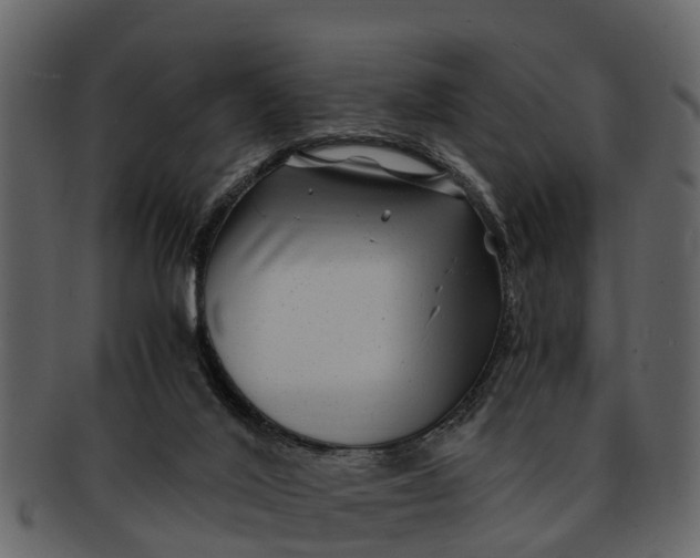 X0000093100020200710171211