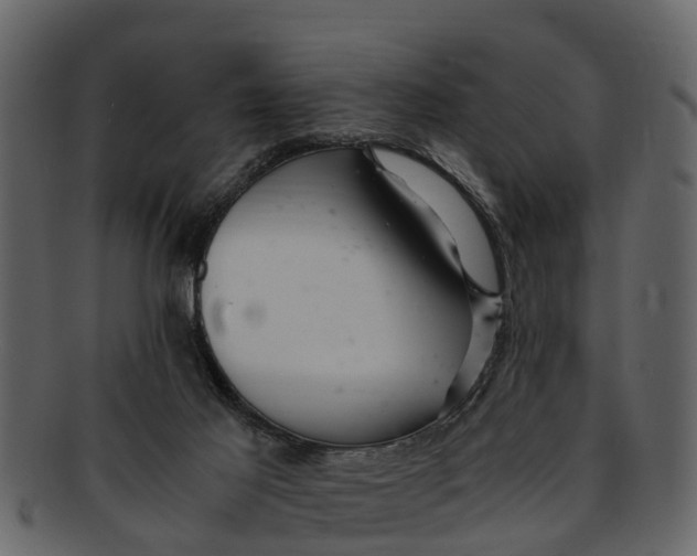 X0000093100021200710171211