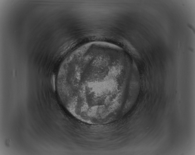 X0000093100022200710171211