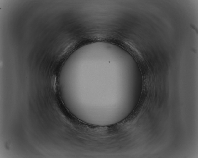 X0000093100024200710171211