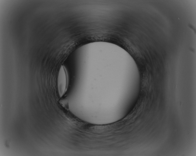 X0000093100025200710171211