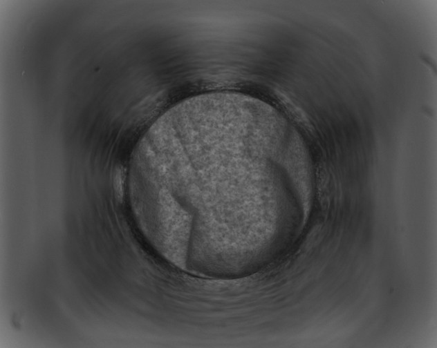 X0000093100026200710171211