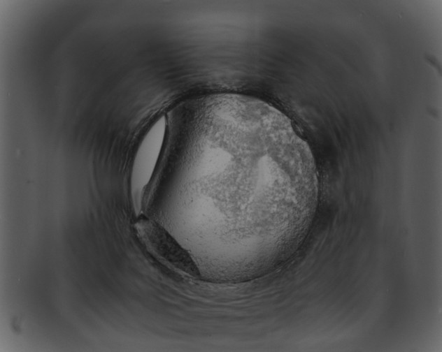 X0000093100027200710171211