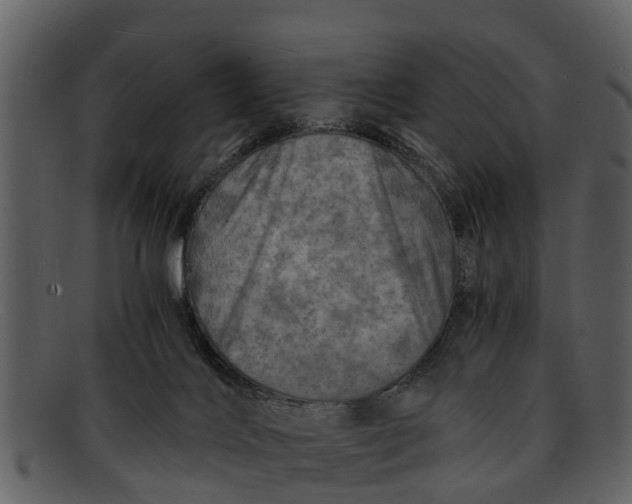 X0000093100028200710171211