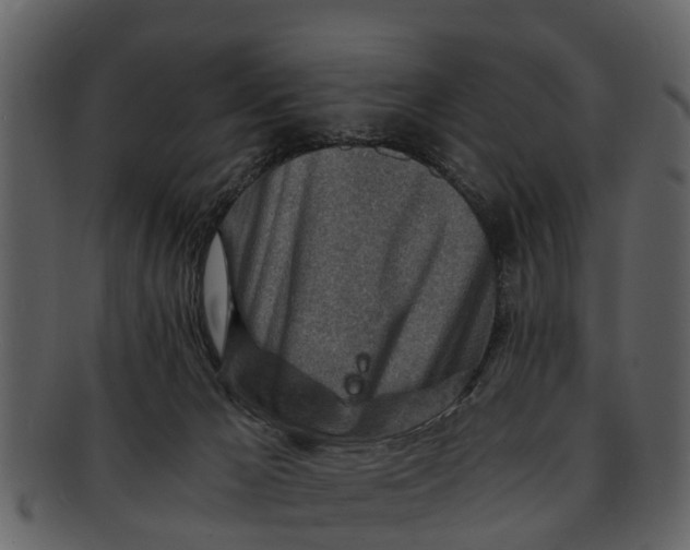 X0000093100029200710171211