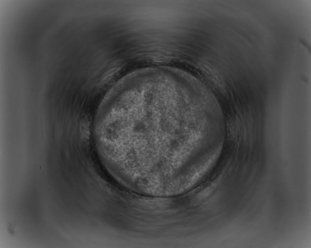 X0000093100032200710171211