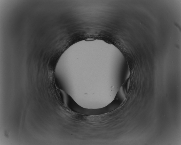 X0000093100033200710171211