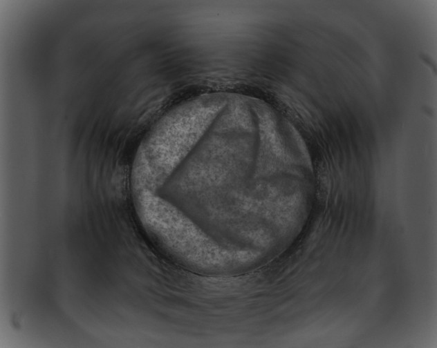 X0000093100034200710171211