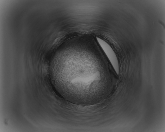 X0000093100035200710171211