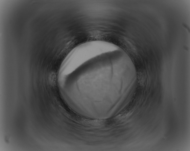 X0000093100036200710171211