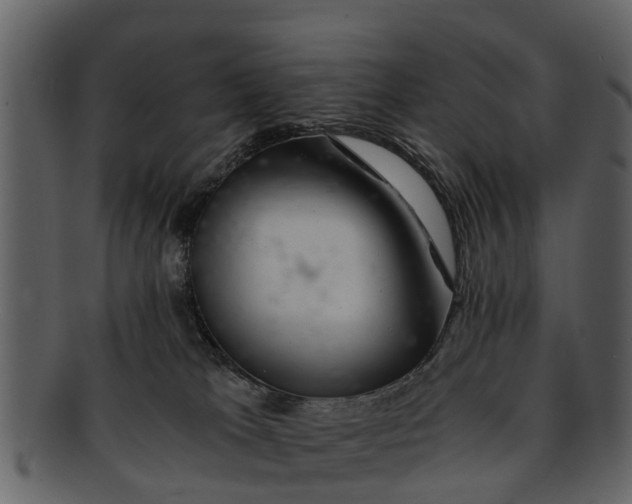 X0000093100037200710171211