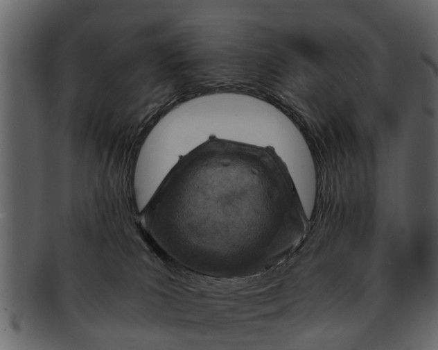 X0000093100039200710171211