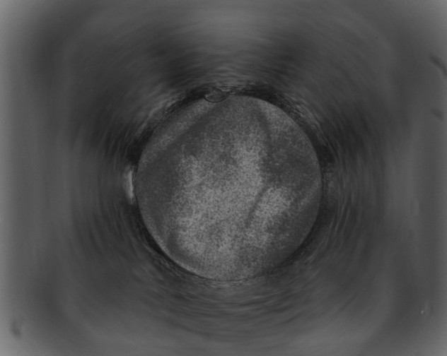 X0000093100042200710171210