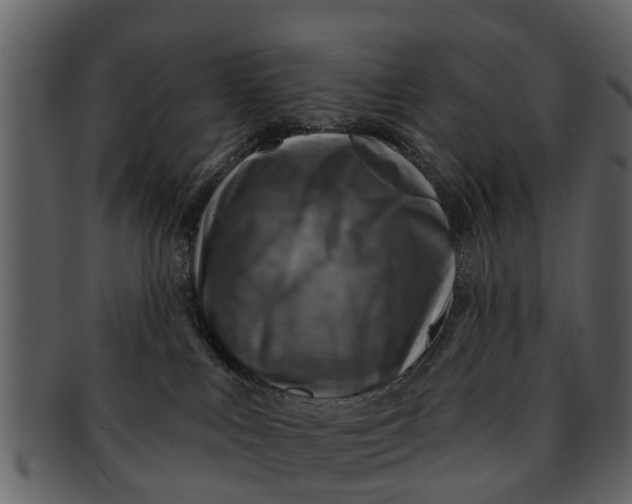 X0000093100043200710171210