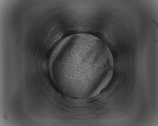 X0000093100044200710171210