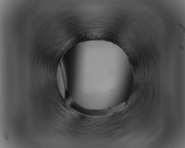 X0000093100045200710171210