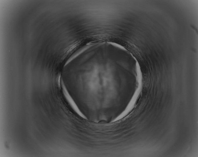 X0000093100047200710171210