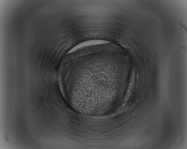 X0000093100048200710171210