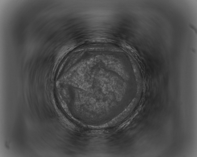 X0000093100049200710171210