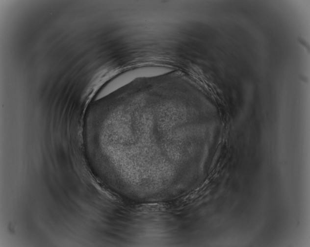 X0000093100050200710171210
