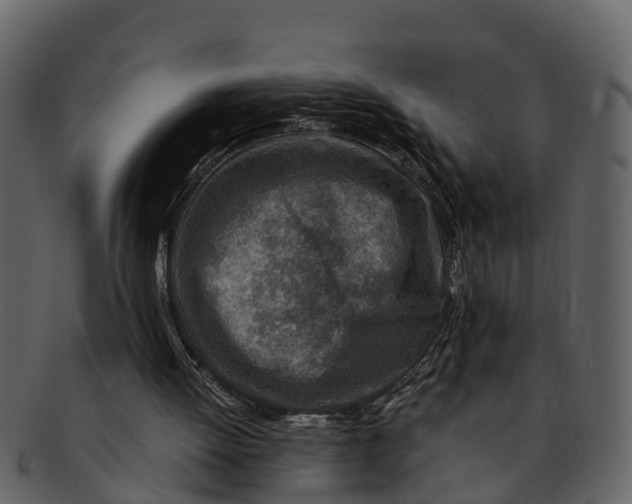 X0000093100052200710171210