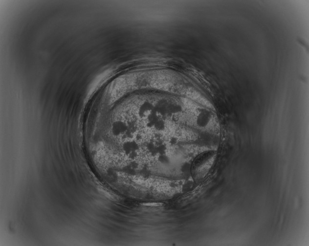 X0000093100053200710171210