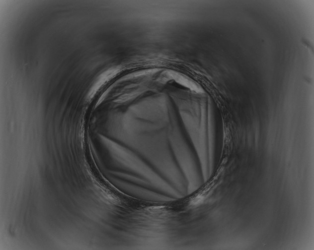 X0000093100054200710171210