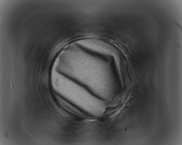 X0000093100055200710171210