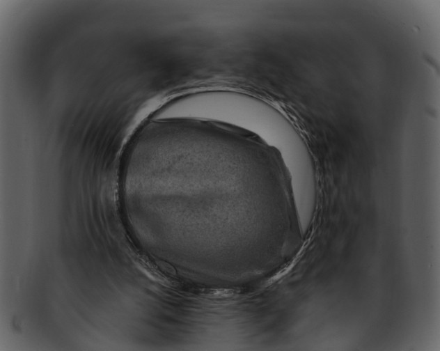 X0000093100056200710171210